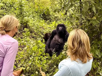 Rwanda Gorilla Trekking & Safari Tours | Rwanda Safaris.